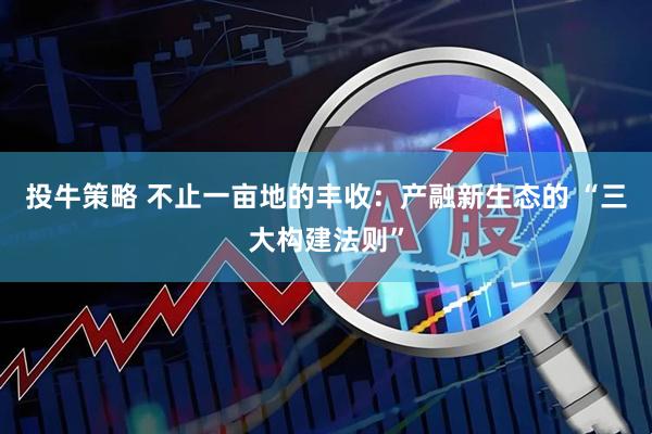 投牛策略 不止一亩地的丰收：产融新生态的 “三大构建法则”
