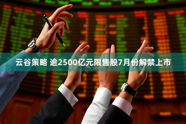 云谷策略 逾2500亿元限售股7月份解禁上市