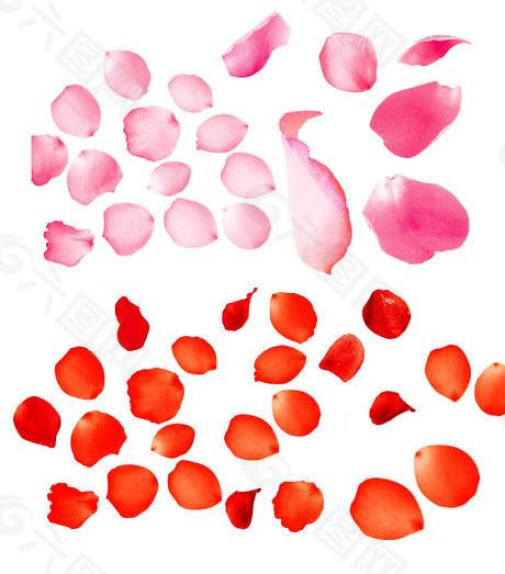 抓牛网 上交所王泊：将推进“1+6”改革举措和示范案例落地