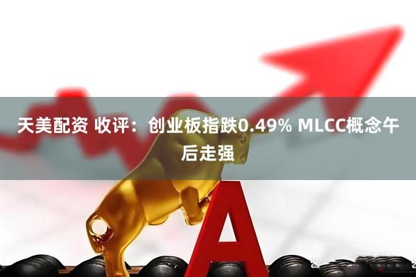 天美配资 收评：创业板指跌0.49% MLCC概念午后走强